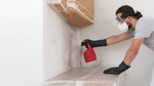 Professional Crawl Space Mold Remediation technician working in Hollywood, FL